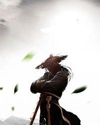 秦队长，我真的只是路过！